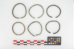 Foto von Bronzering (NHMW-PRAE-026628)